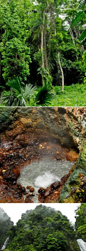 slide-isole/dominica/dominica park roches gravees/catacaribe_pagina_ingrandimento_dominica_park roches gravees_1.jpg